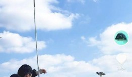 科学钓鱼爆料视频下载,揭秘视频背后的下载技巧与奥秘